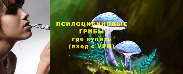 PSILOCYBIN Бугульма