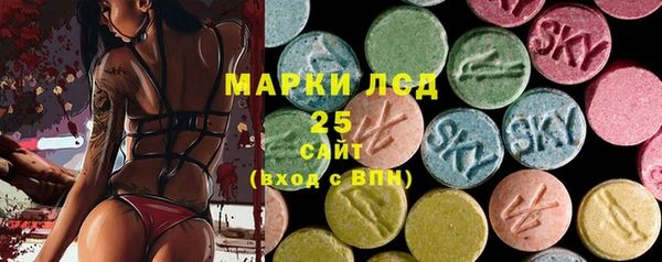 PSILOCYBIN Бугульма