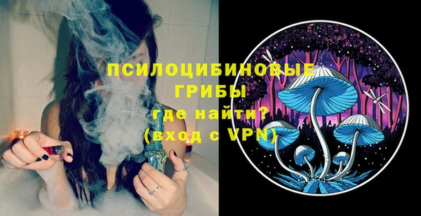 PSILOCYBIN Бугульма