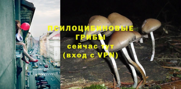 кокаин VHQ Бородино