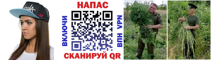 купить   Орск  Бошки марихуана тримм 